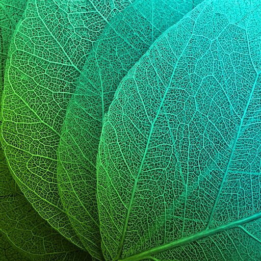 GREEN BIOHACKING